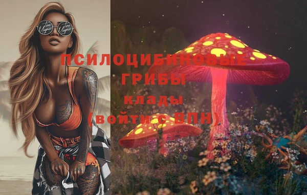 прущая мука Абаза