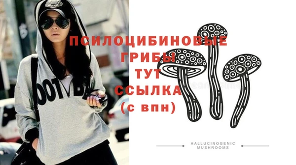 2c-b Абинск