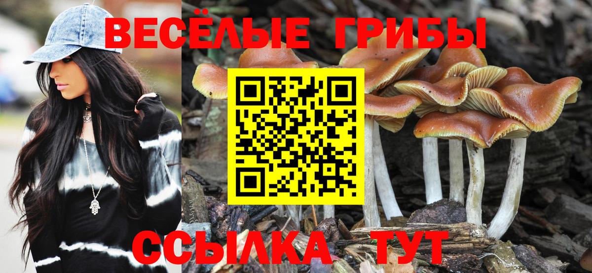 Калининград  Галлюциногенные грибы прущие грибы  Вход с VPN 
