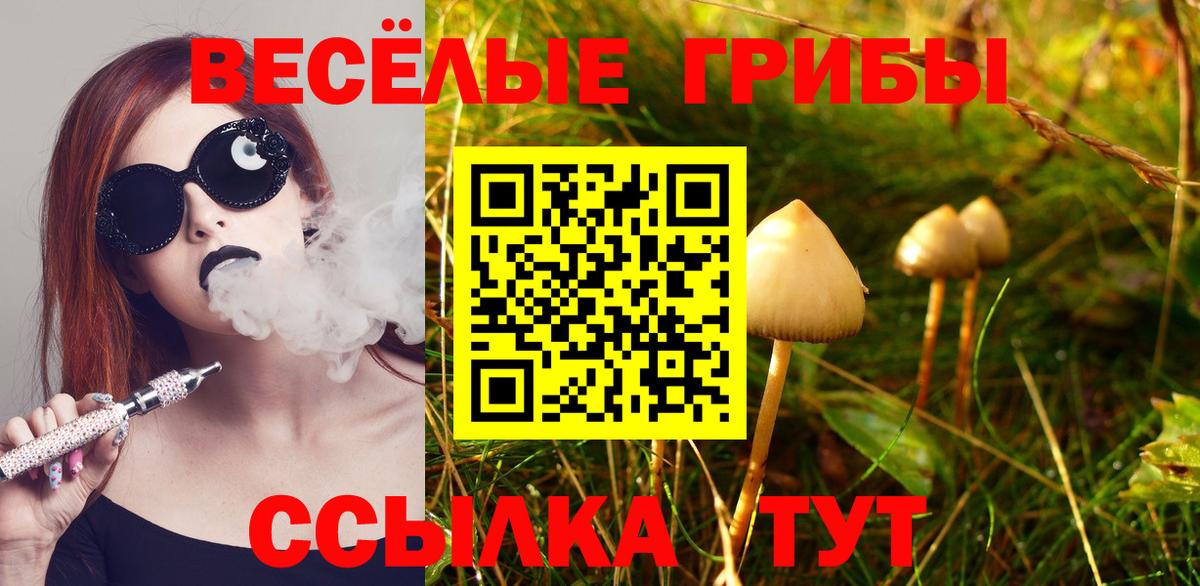 Псилоцибиновые грибы мухоморы Калининград