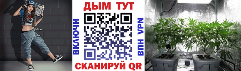 цены наркотик  Калининград  Конопля MAZAR 